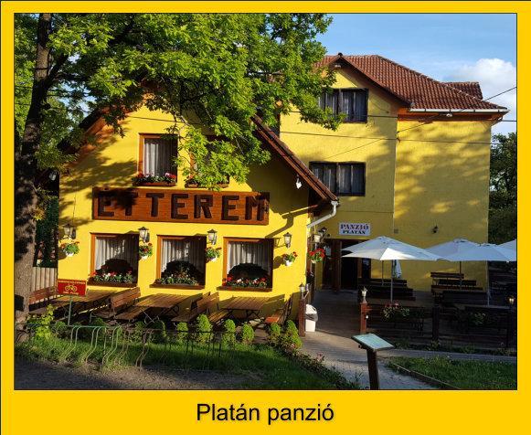 Отель Platan Panzio Добогокё Экстерьер фото